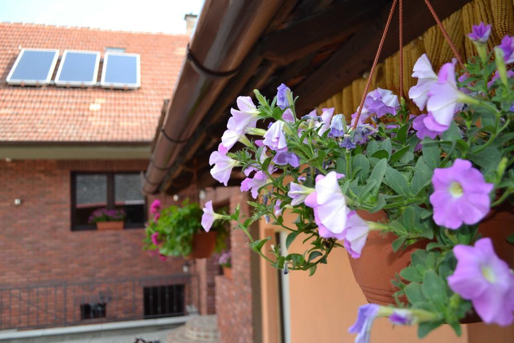 Penzion Vinarsky Dvorek Velke Nemcice Exterior foto
